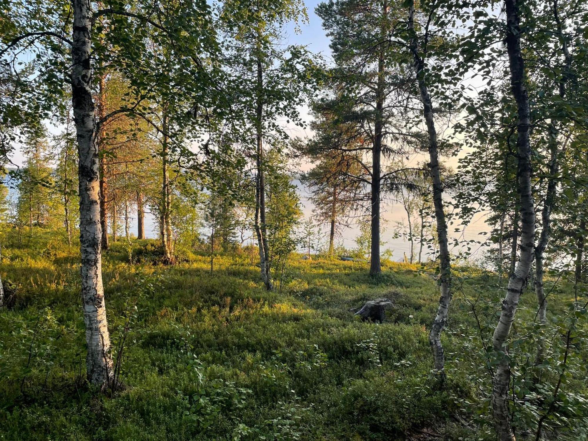 Lapland Dream Villas Rauhala Εξωτερικό φωτογραφία