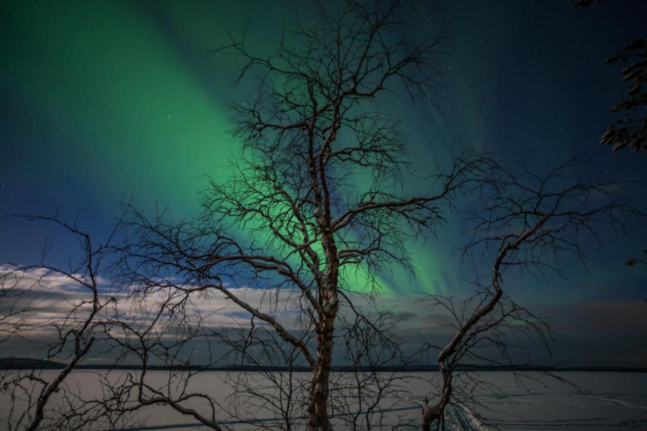 Lapland Dream Villas Rauhala Εξωτερικό φωτογραφία