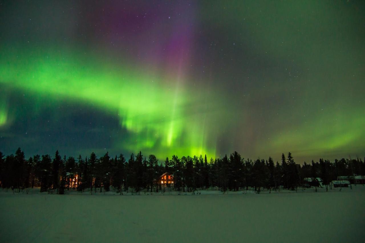 Lapland Dream Villas Rauhala Εξωτερικό φωτογραφία
